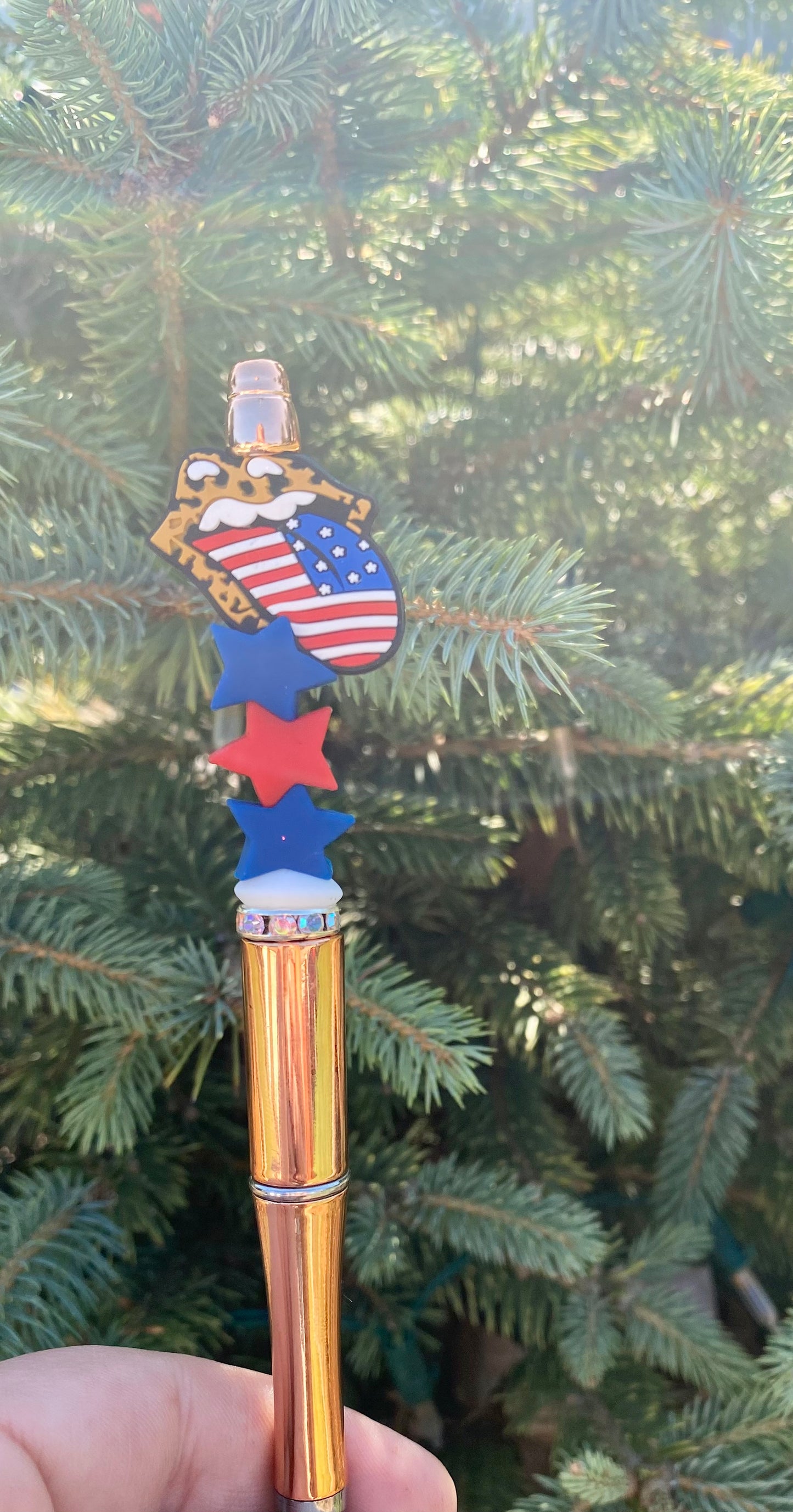 America Rocks- Pen